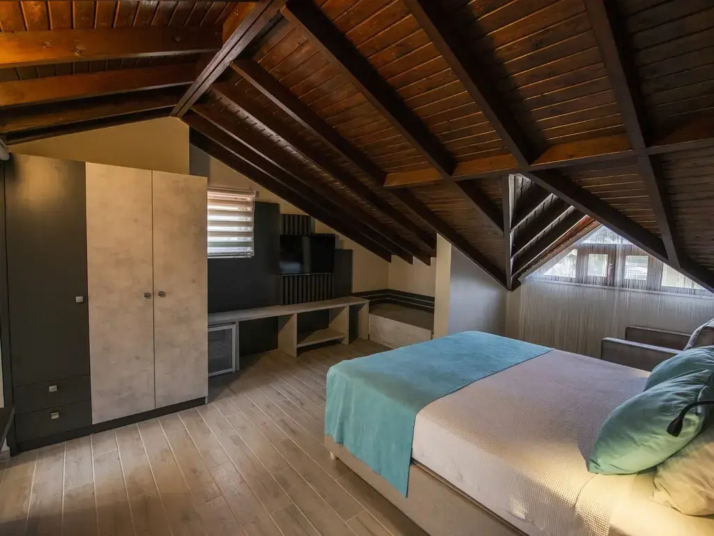 Panaromic Attic Double room (full double bed)