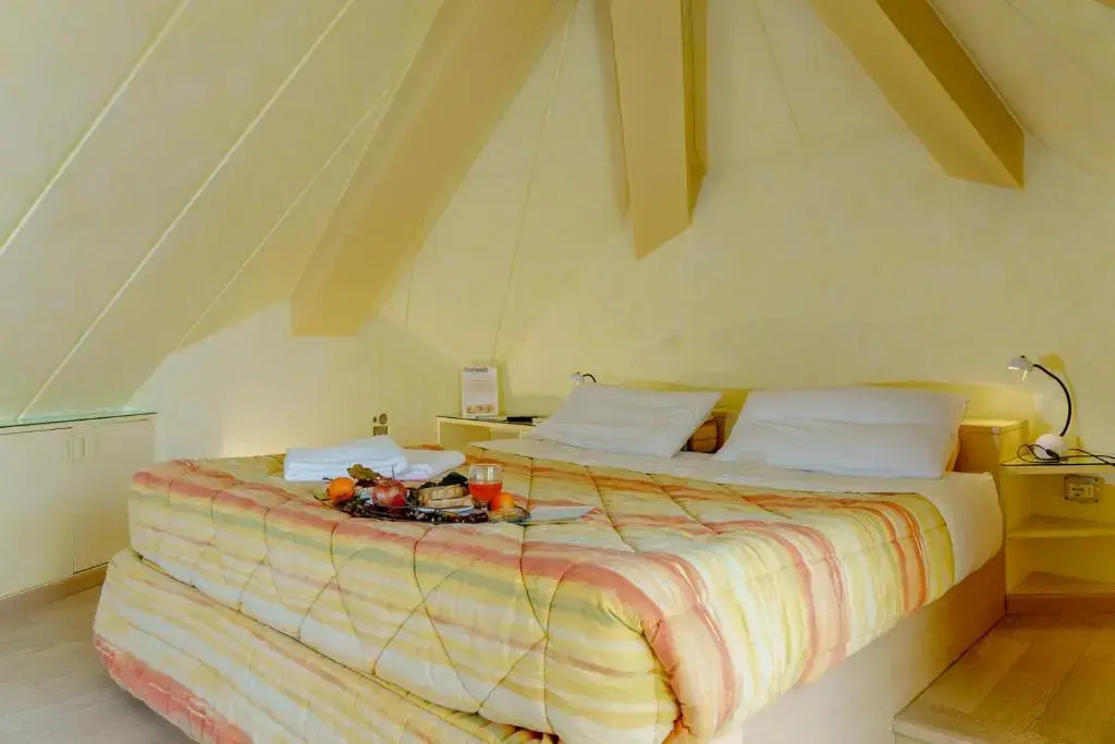Double Junior Suite with balcony (full double bed)