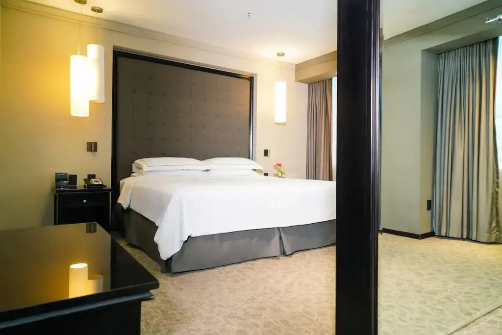 Premium Level Double Junior Suite (full double bed)
