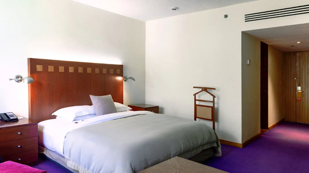 Deluxe Double room (full double bed)