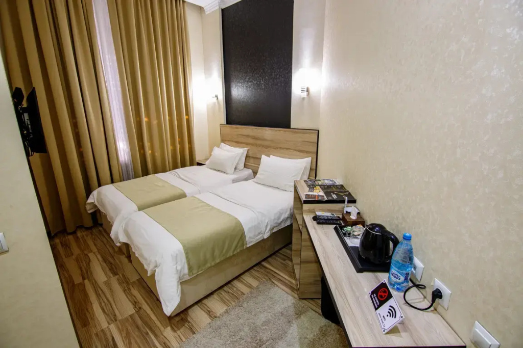 Standard Double room (twin beds)