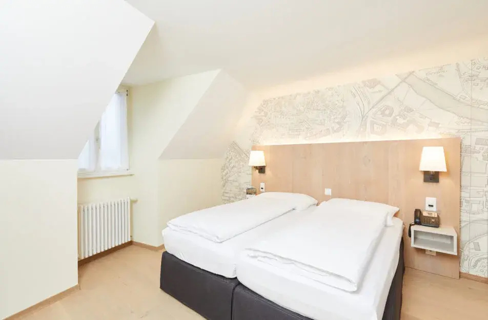 Deluxe Roof Double room (twin beds)
