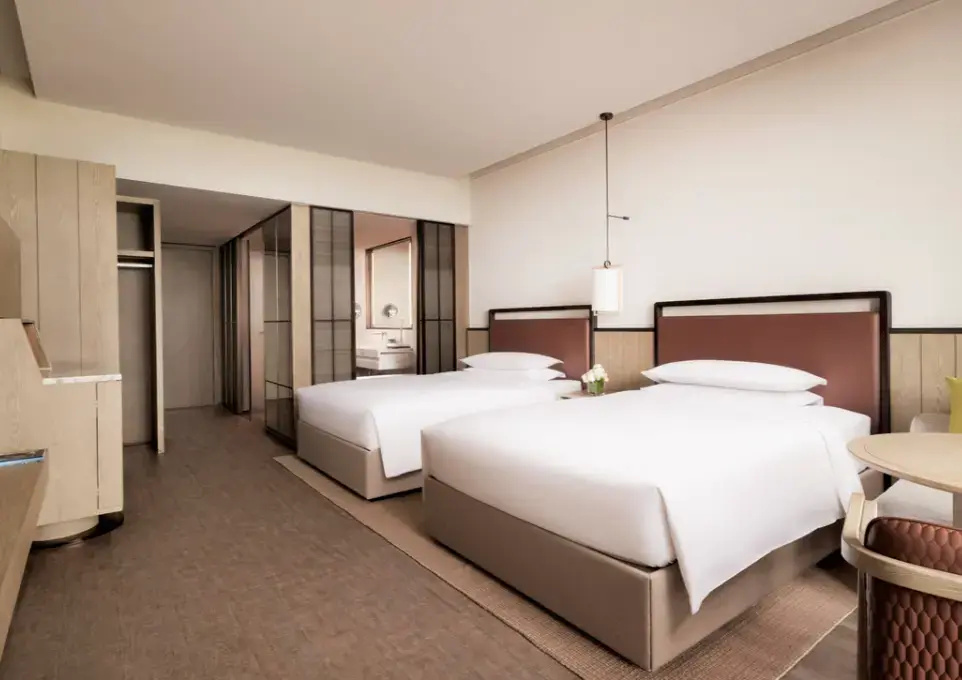 Deluxe Double room with balcony and Limited View (twin beds)
