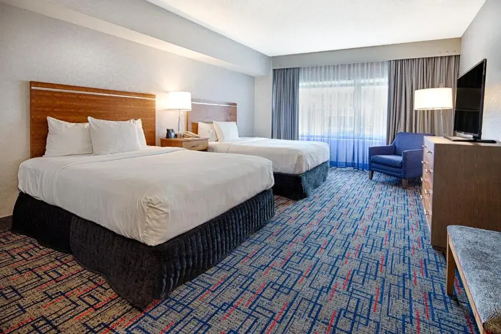 Embassy Suites by Hilton Chicago O'Hare Rosemont - Chambres