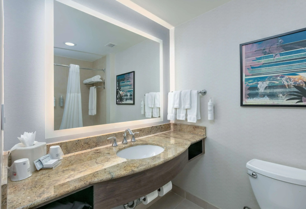 Hilton Garden Inn Dallas/Arlington - Général