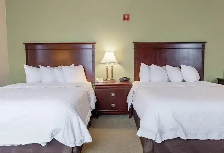 Hampton Inn & Suites Birmingham-Downtown-Tutwiler - Chambres
