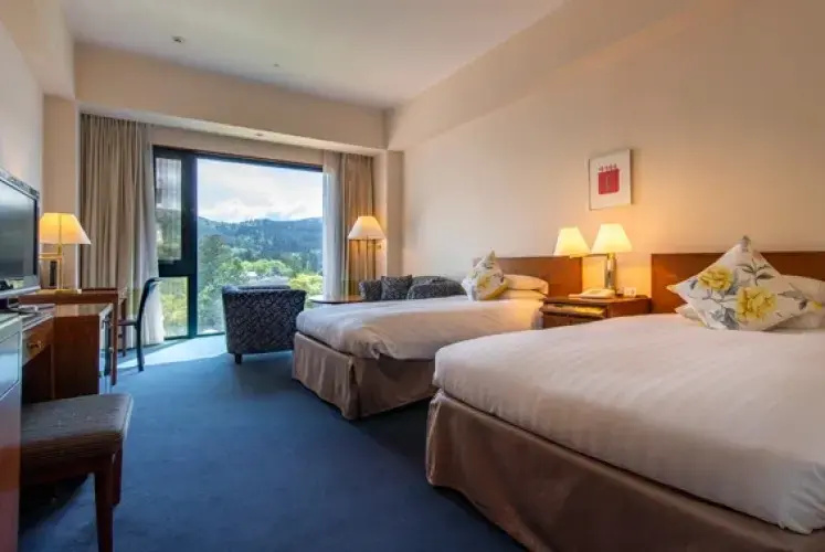 Hakone Hotel Room Type - Moderate Double room (twin beds)