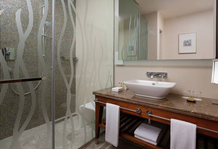 Двухместный номер двуспальная кровать в Hilton Dushanbe Hotel