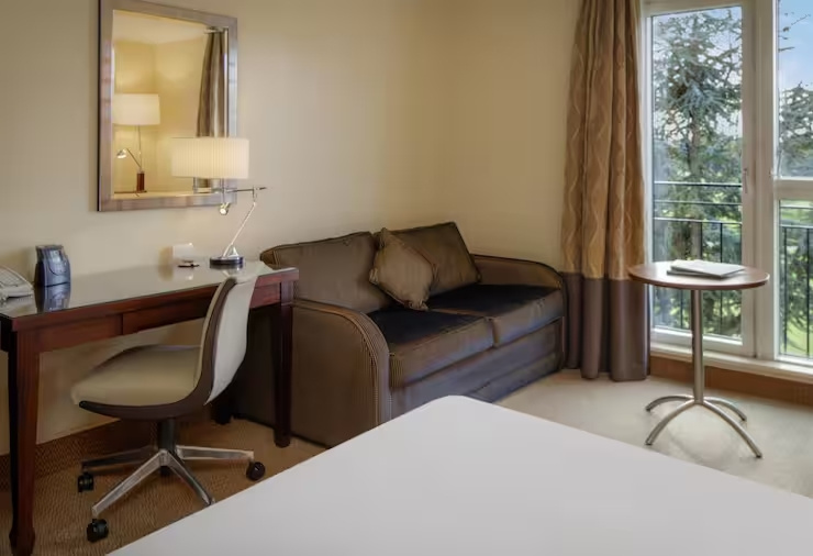Deluxe with Sofa Bed Double room (full double bed)