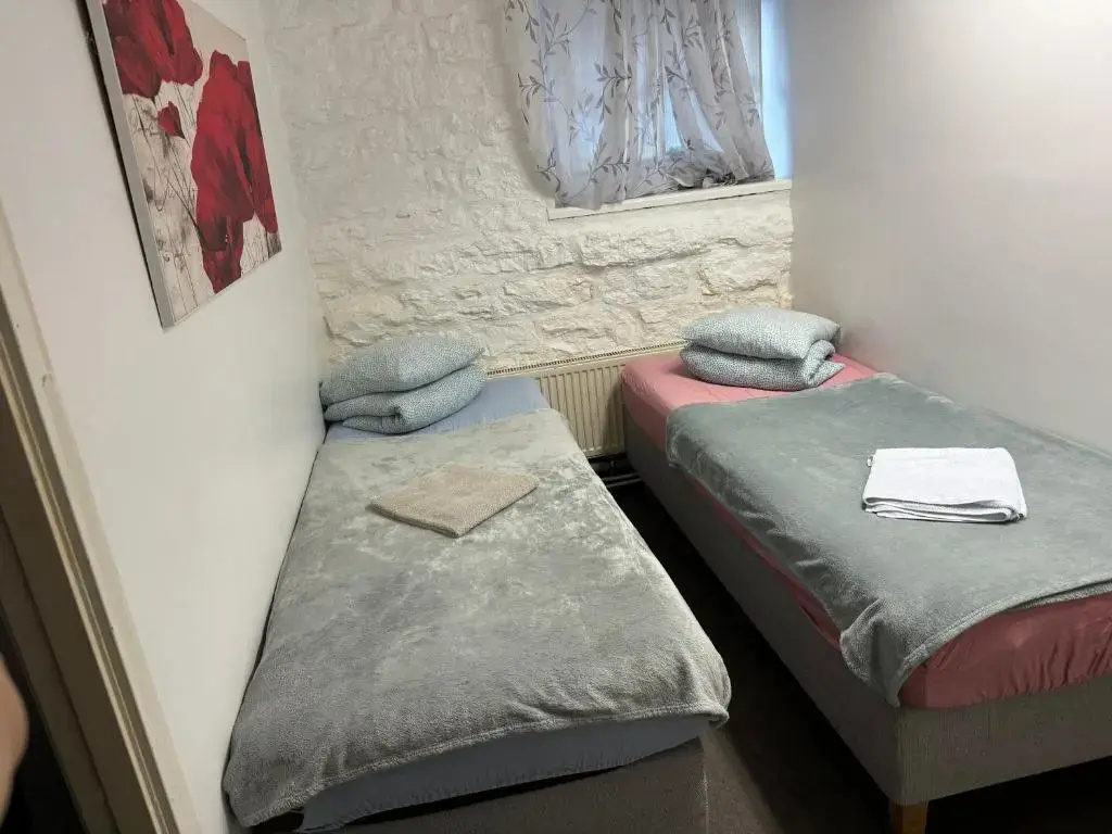 Double room (twin beds)