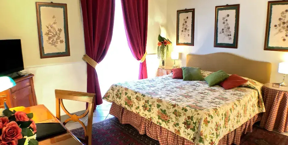 Classic Double room (twin beds)