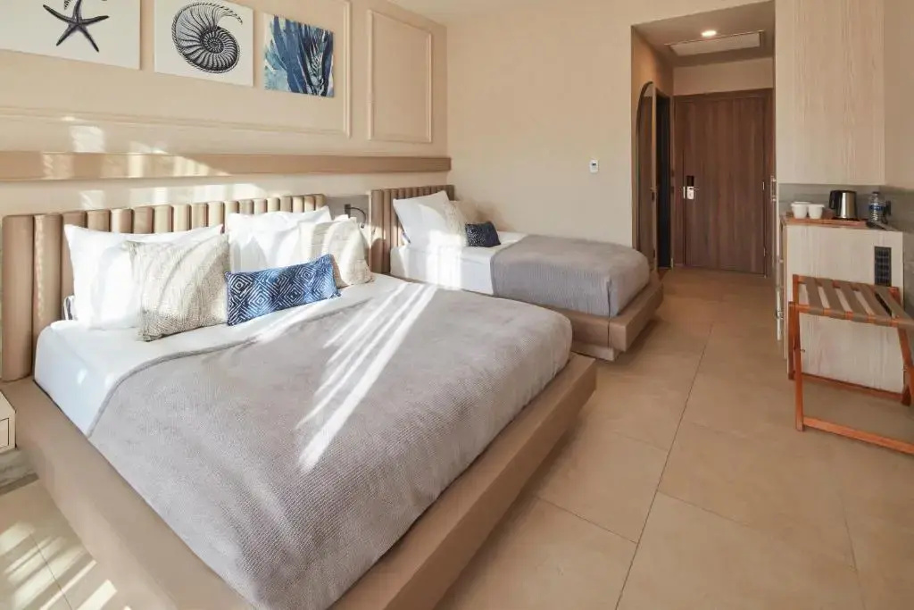 Deluxe Triple room with land view