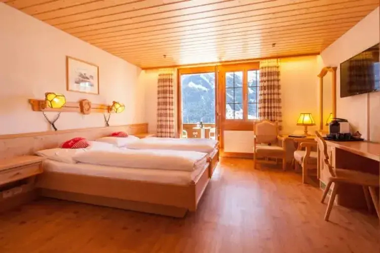 Hotel Alpenhof - Chambres