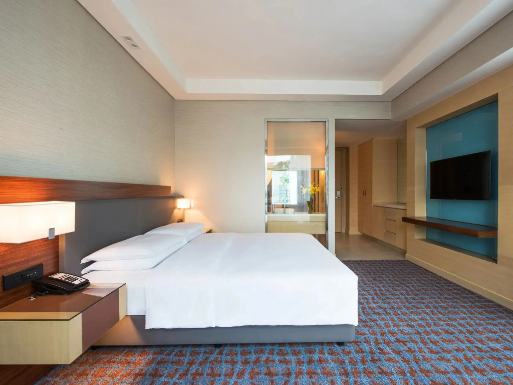 Double room with city view (full double bed)