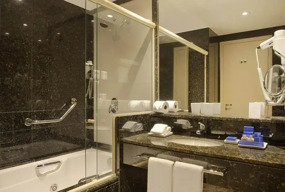 Windsor Brasilia Hotel - Chambres