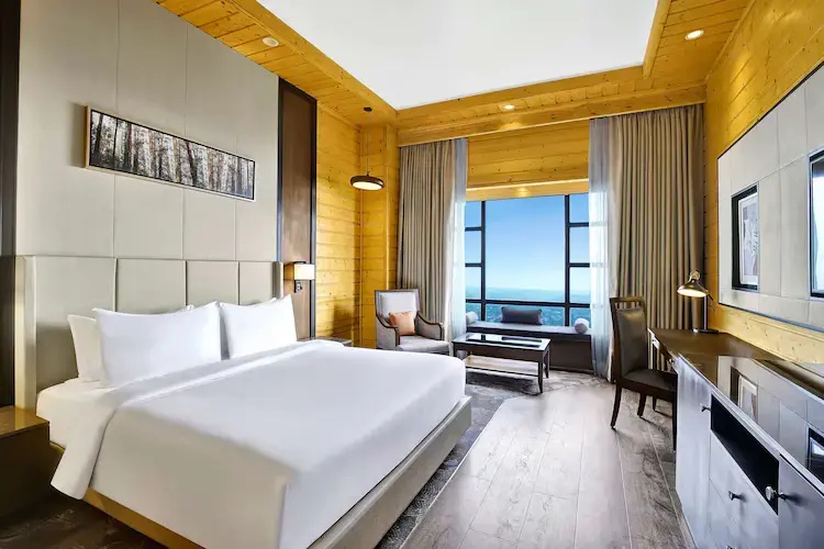 Deluxe Double room (full double bed)
