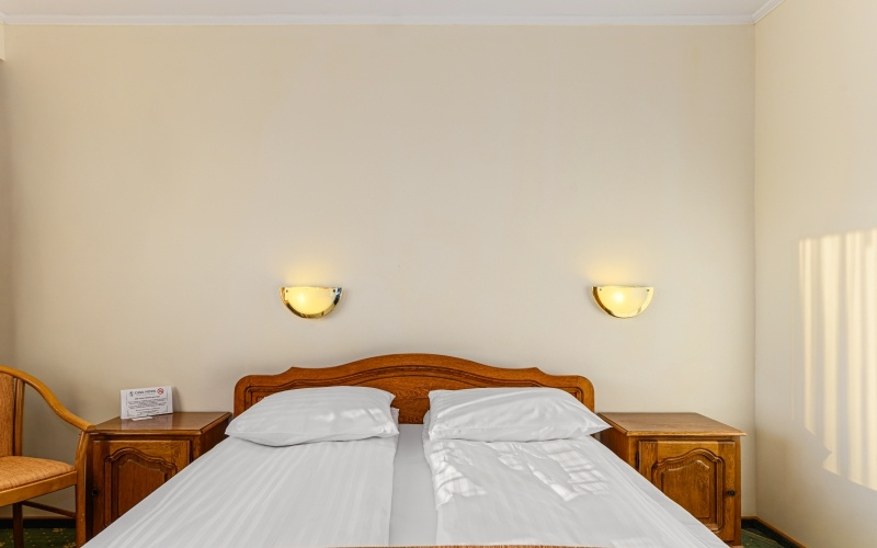 Hotel Casa Viorel - Chambres