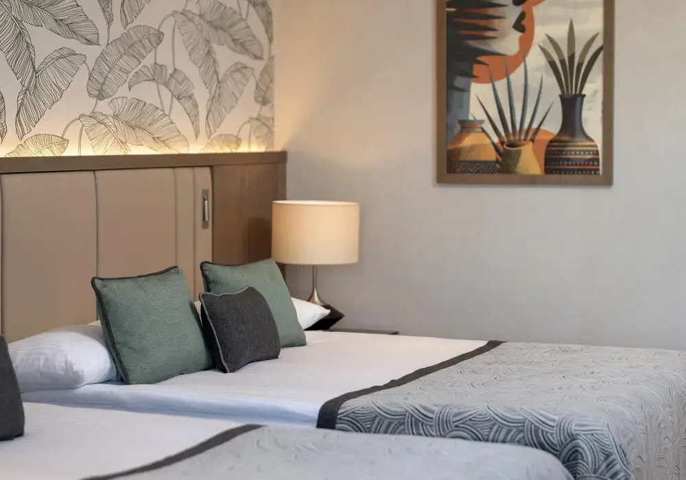 Superior Double room (twin beds)