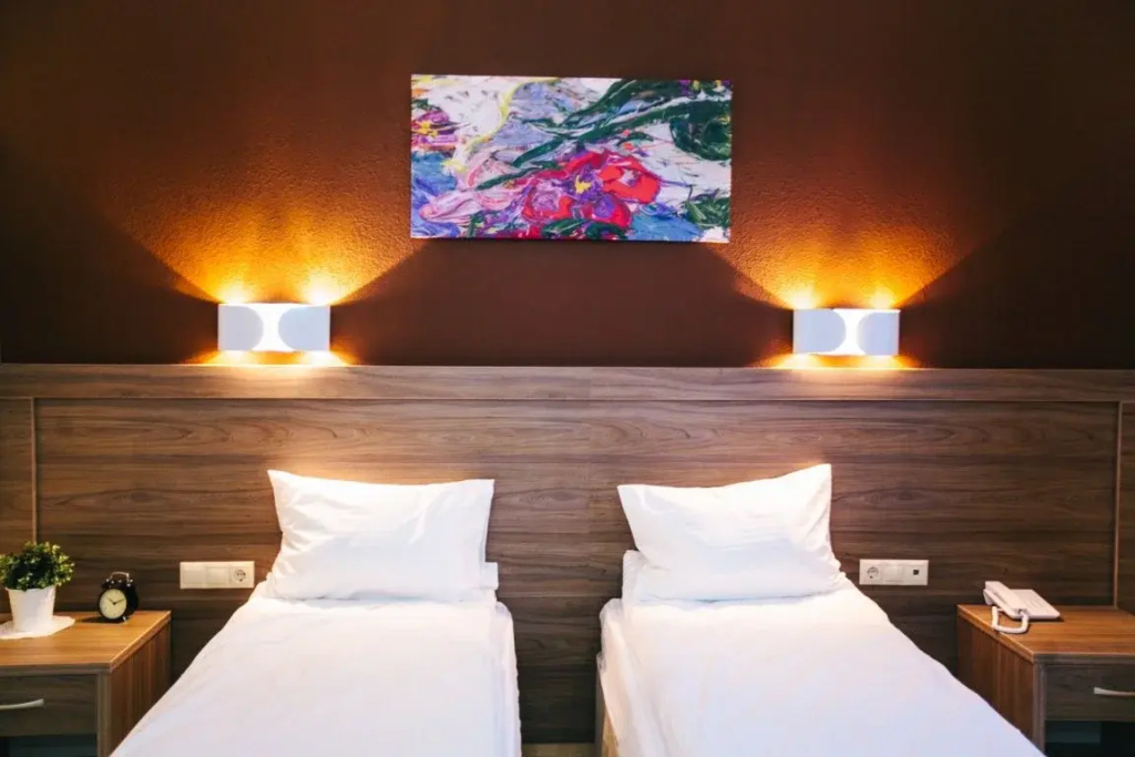 Deluxe Double room (twin beds)