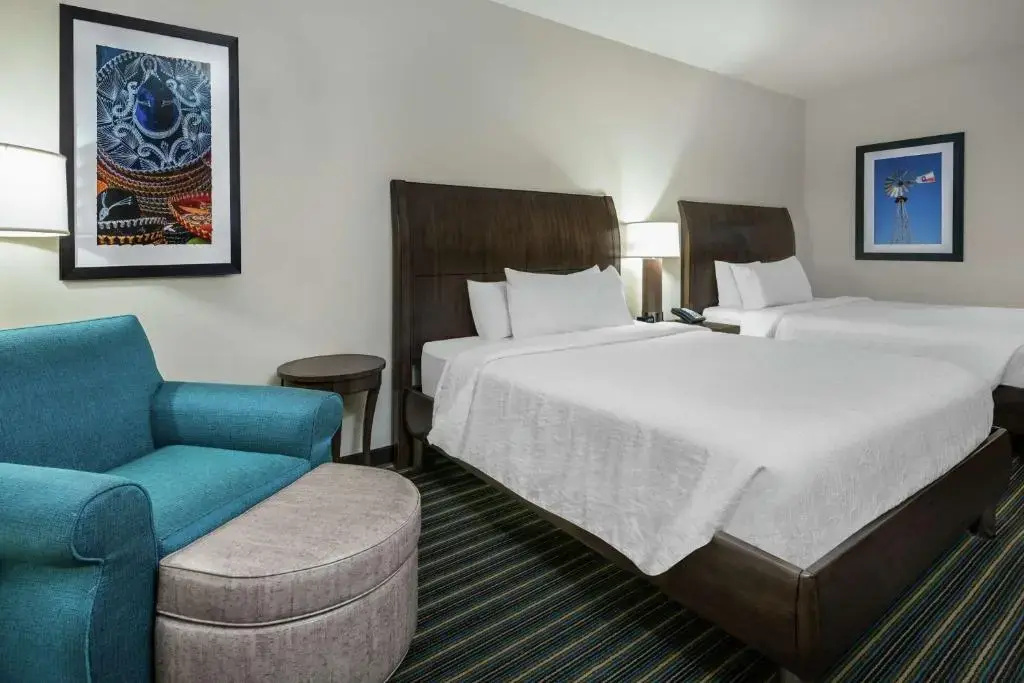 Hilton Garden Inn San Antonio At The Rim - Chambres