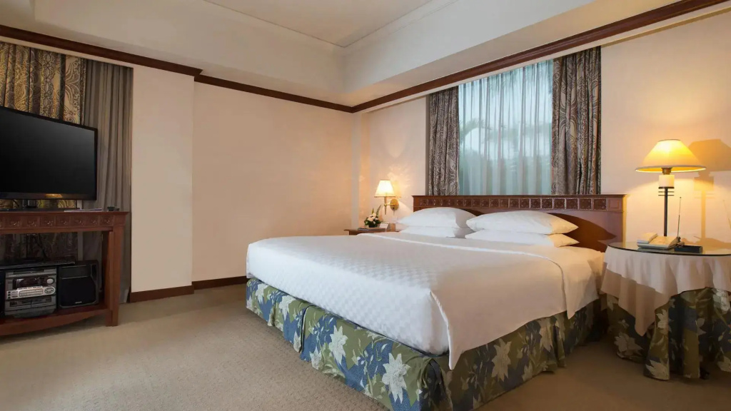 Regency Double Suite (full double bed)