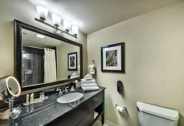 DoubleTree by Hilton Hotel Port Huron - Chambres