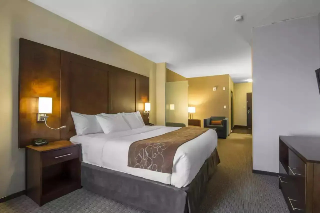 1 Bedroom Suite