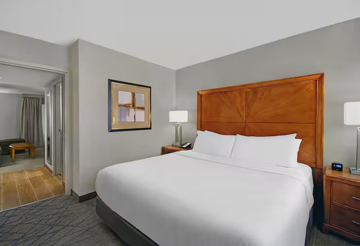 Embassy Suites by Hilton Detroit Livonia Novi - Chambres