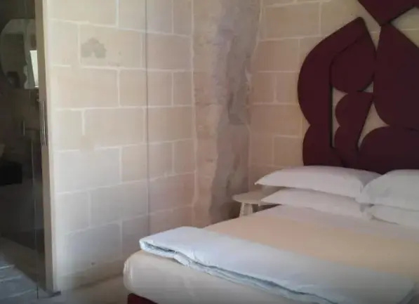 French Bed Double room (full double bed)
