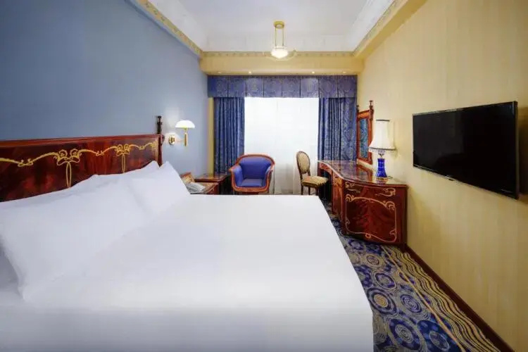 Standard Double room with city view (full double bed)