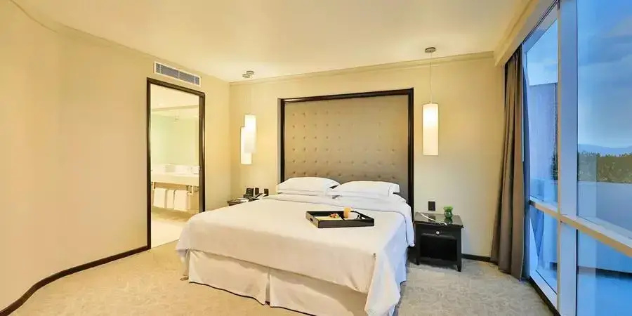 Premium Level Double Suite with city view (twin beds)