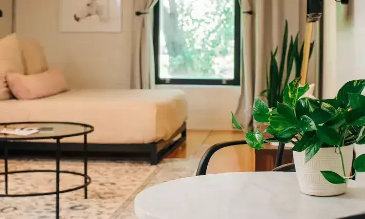 Club Double Suite with courtyard view (full double bed)