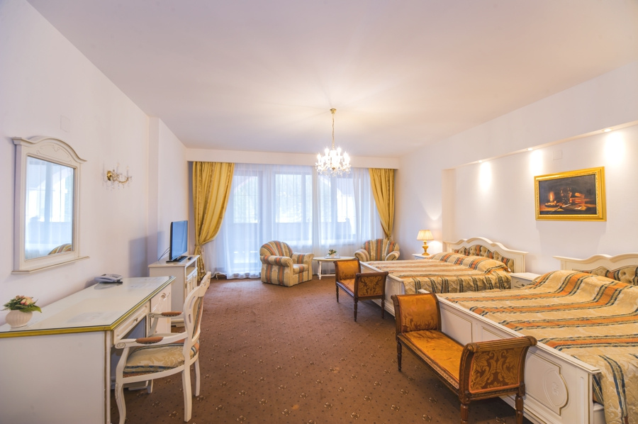 Hotel Aurelius Imparatul Romanilor - Chambres