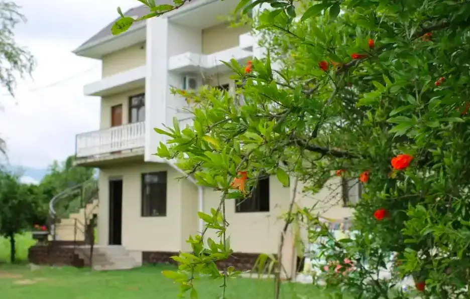 Belaya Rechka Guest House