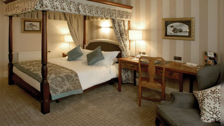 Solent Hotel and Spa - Chambres