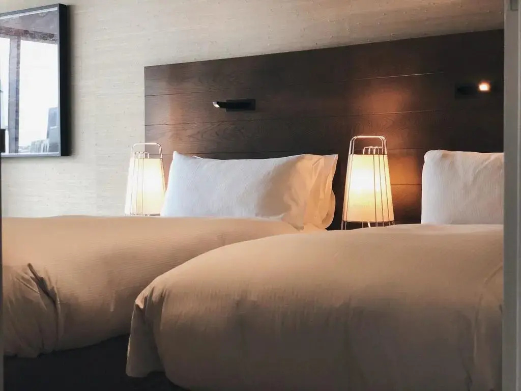 Deluxe Double room (twin beds)