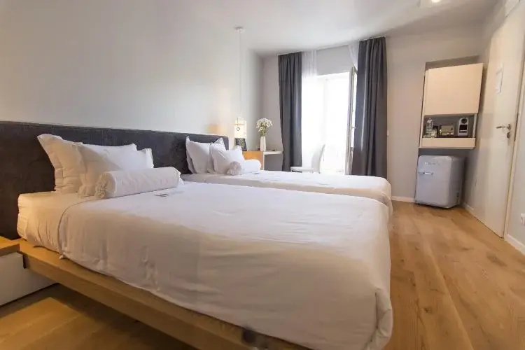 Deluxe Double room (twin beds)