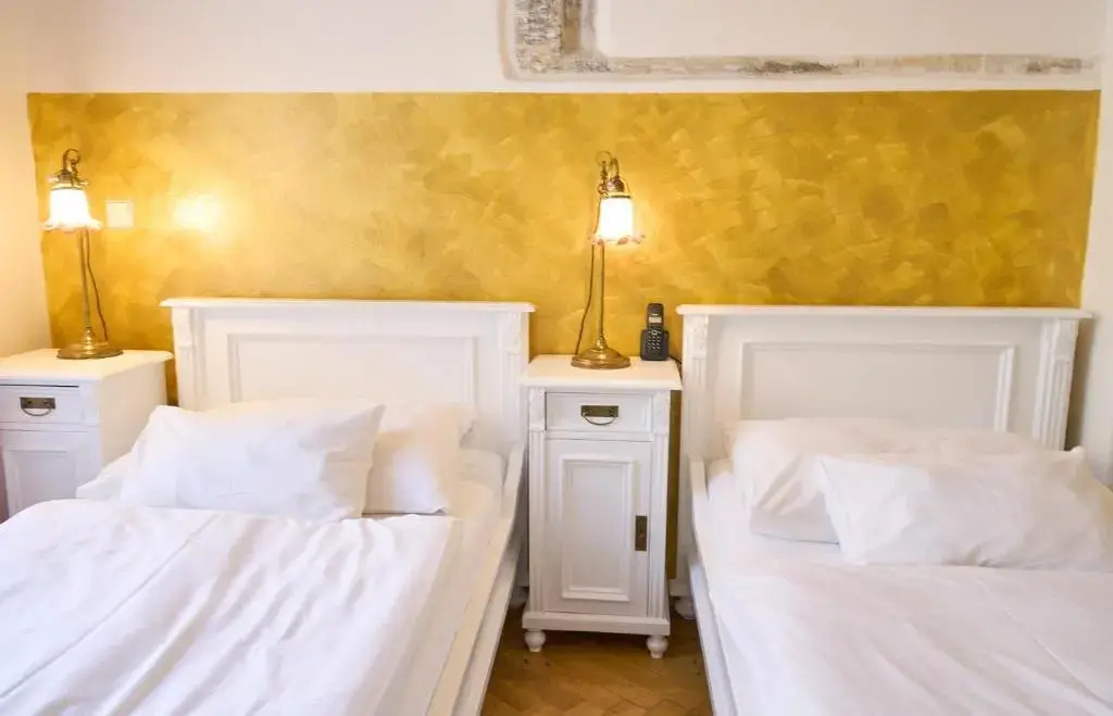 Hotel U Zlateho Jelena - Général