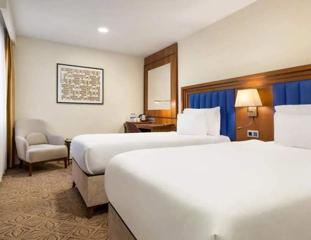 Superior Double room (twin beds)