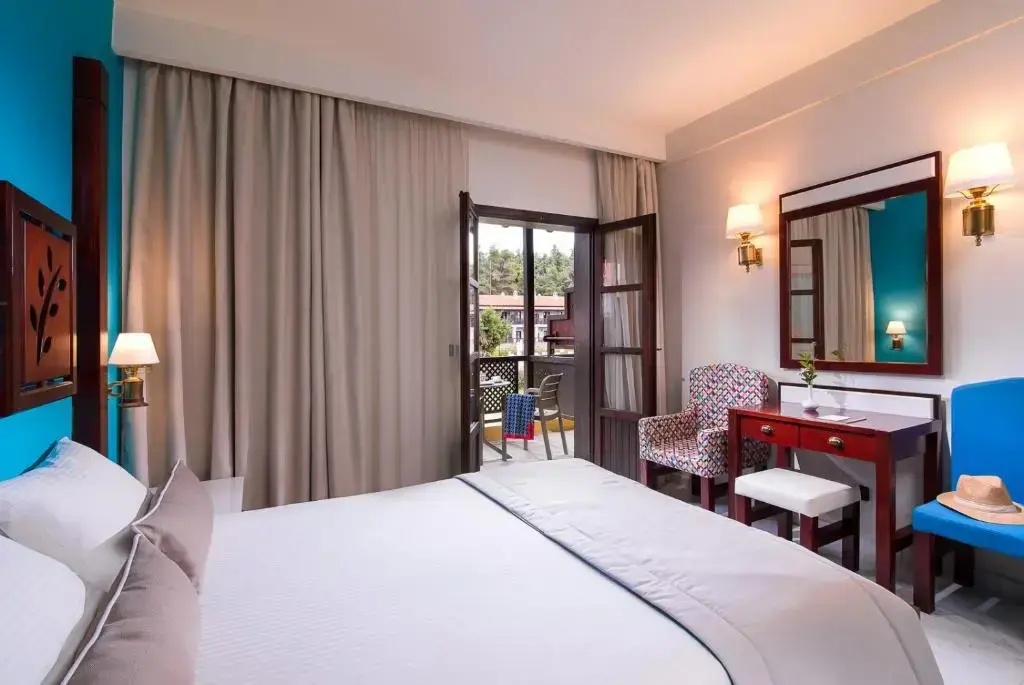 Standard Double room (full double bed)