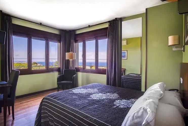 Premium Double room (full double bed)