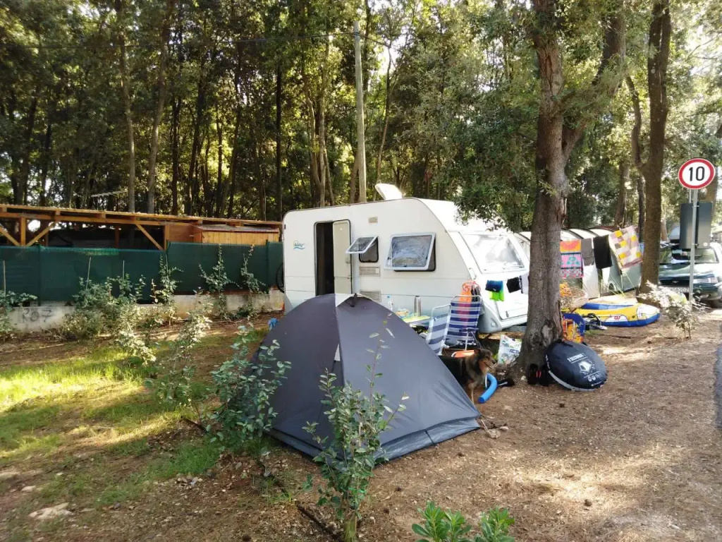Camping