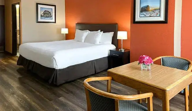 Pet Friendly Double room (full double bed)
