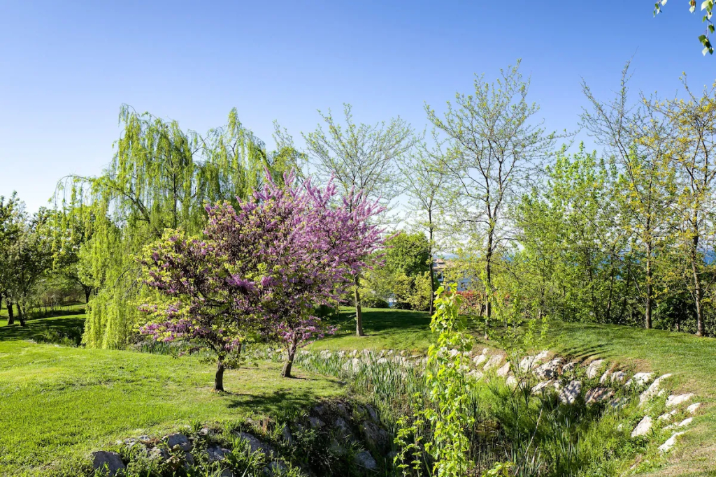 Image 24