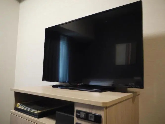 Hotel Route-Inn Grand Tokyo Asakusabashi 사진 4
