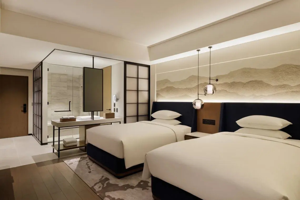 Deluxe Double room (twin beds)