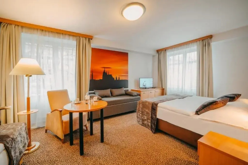 Standard Single room