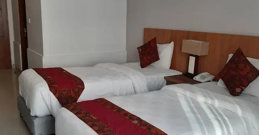 Superior Double room (twin beds)