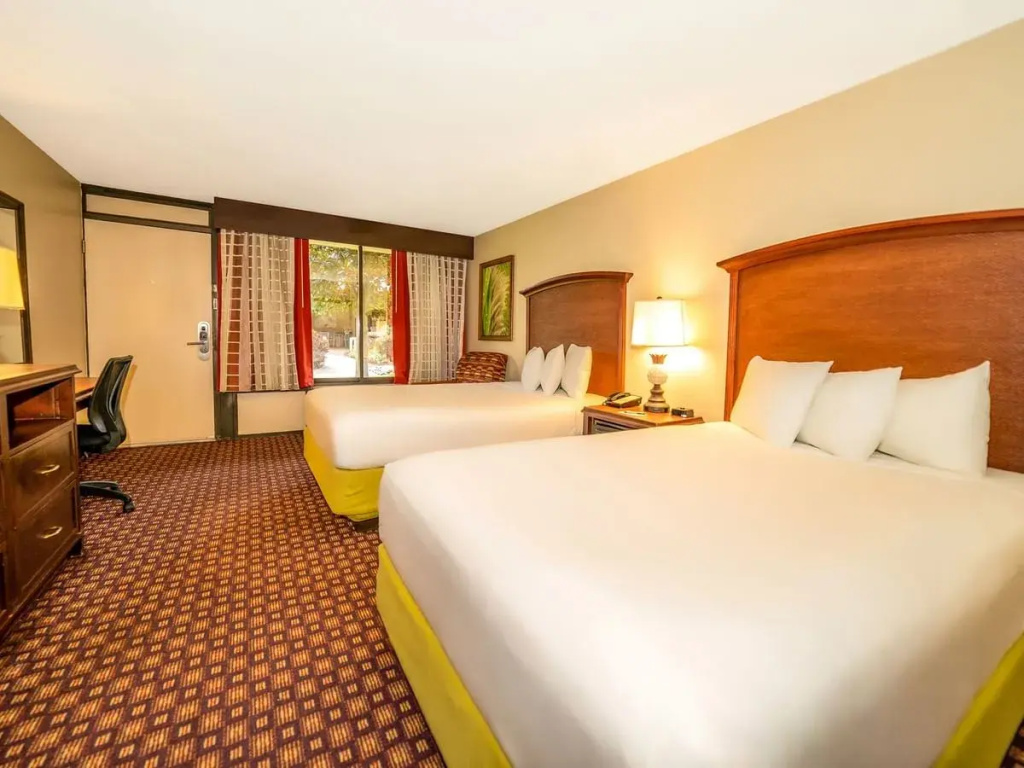 Rosen Inn at Pointe Orlando - Chambres