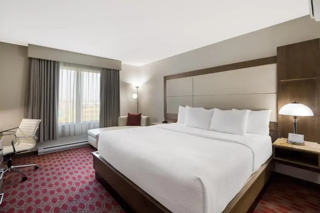 Hotel 11, MOD A Sonesta Collection - Chambres